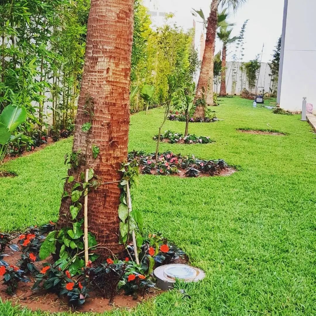 Jardin résidentiel